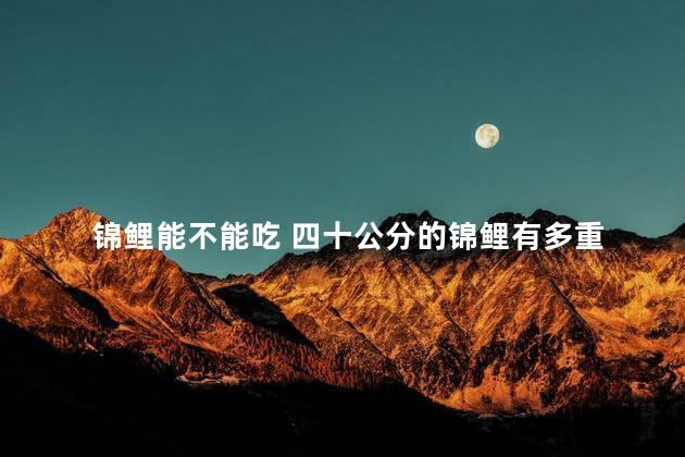 锦鲤能不能吃 四十公分的锦鲤有多重
